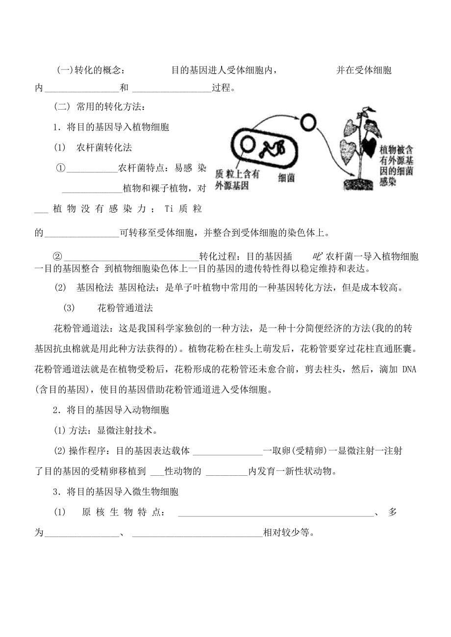 12基因工程的基本操作程序_第5页