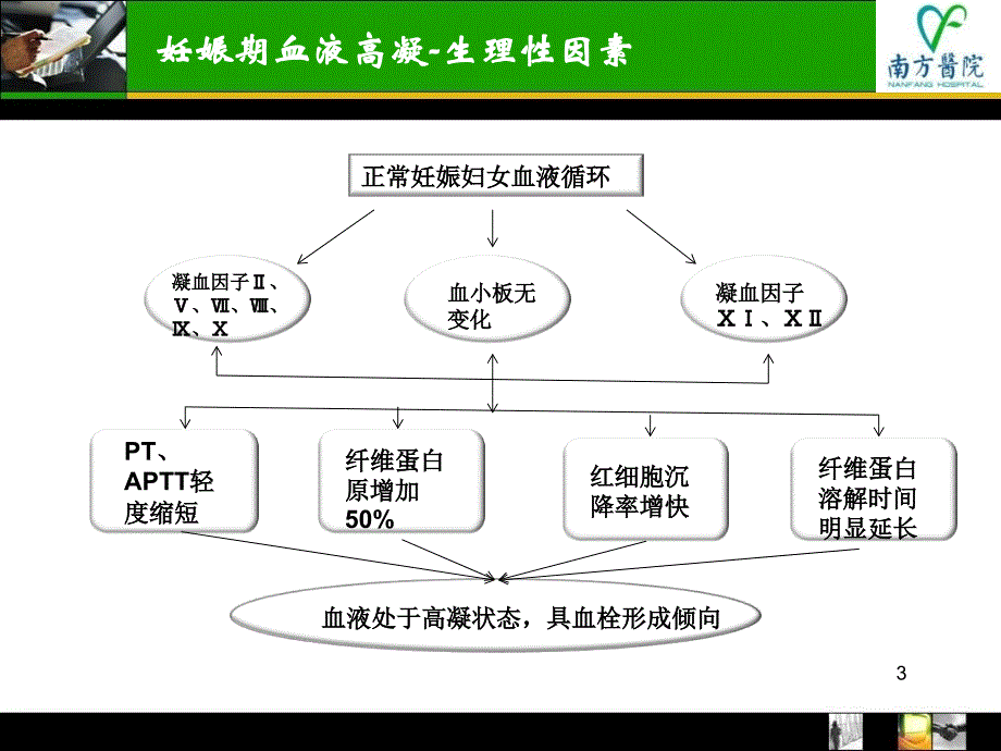 低分子肝素在产科的应用_第3页