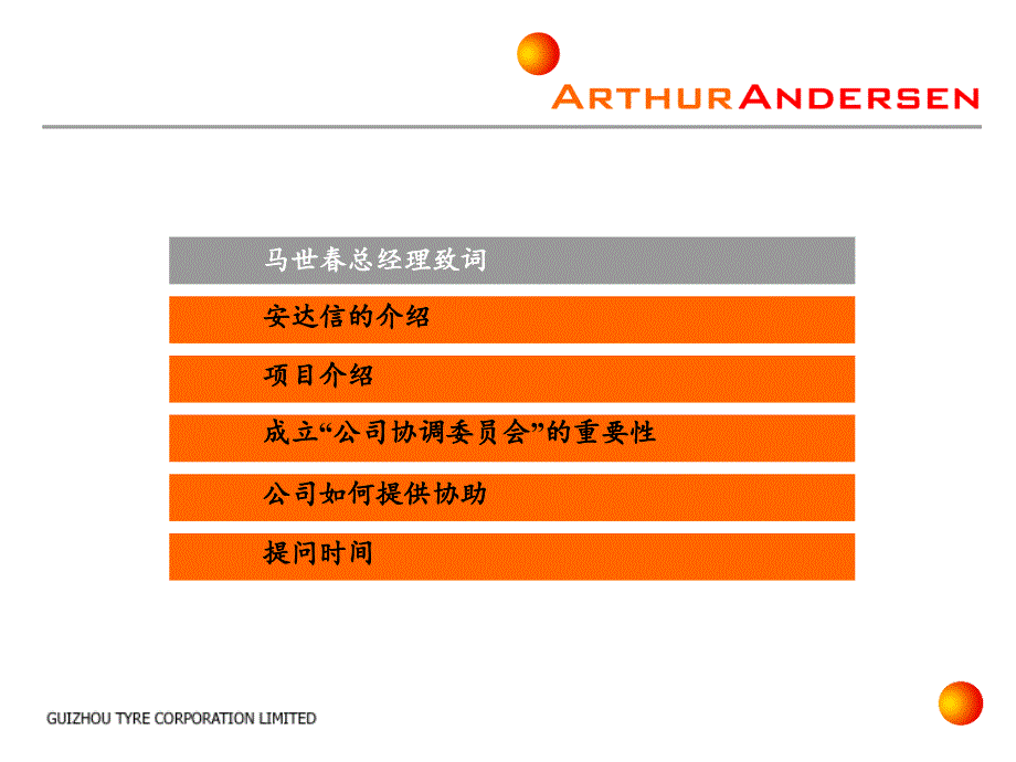 某轮胎有限公司项目资料_第2页