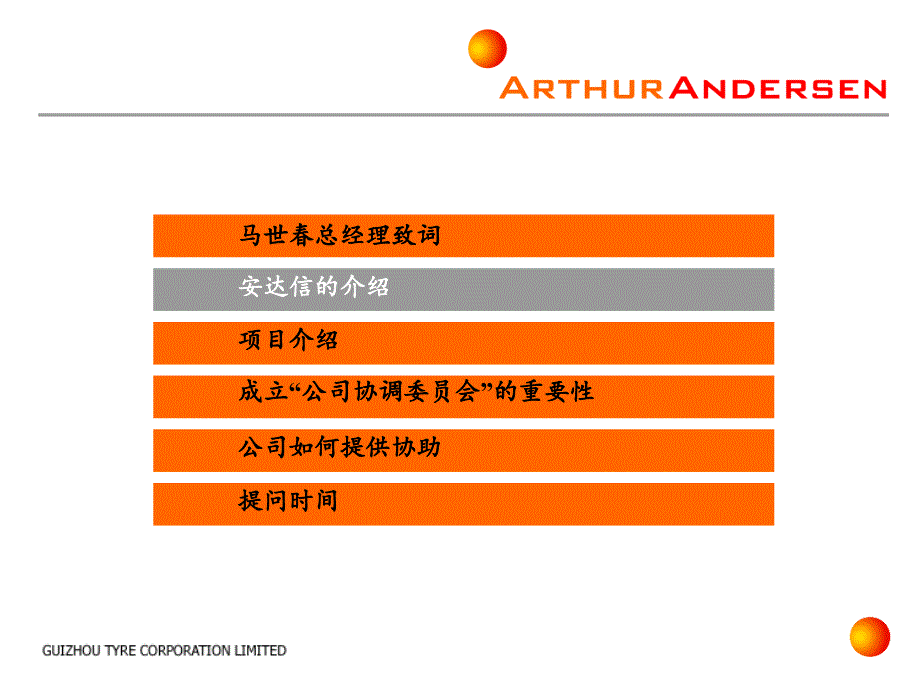 某轮胎有限公司项目资料_第4页