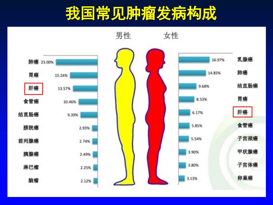 HBV相关HCC抗病毒治疗(1)PPT课件.ppt_第4页