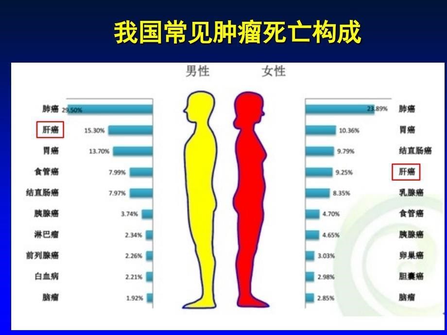 HBV相关HCC抗病毒治疗(1)PPT课件.ppt_第5页