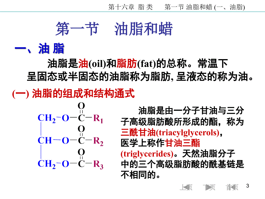 16第十六章脂类5124_第3页