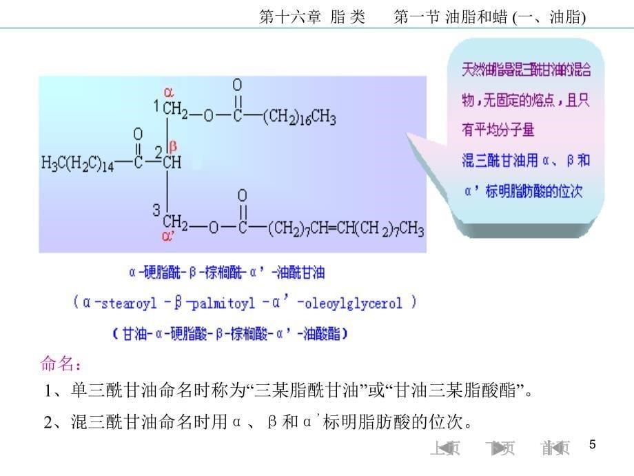 16第十六章脂类5124_第5页