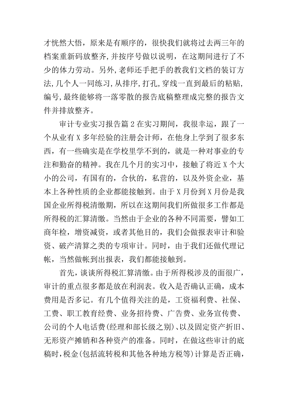 审计专业实习报告.doc_第5页