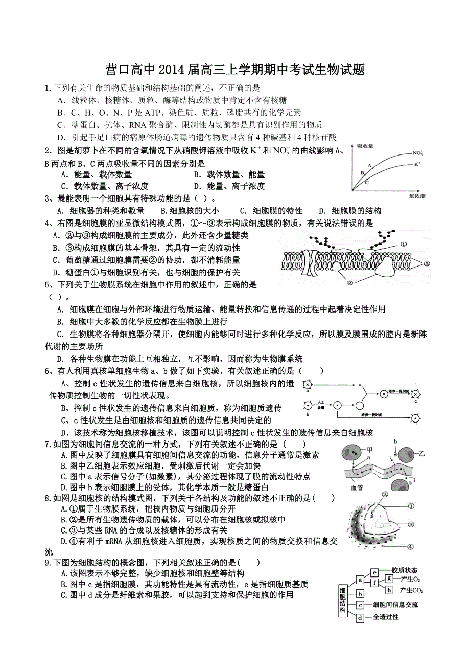 营口高中2014届高三上学期期中考试生物试题_第1页