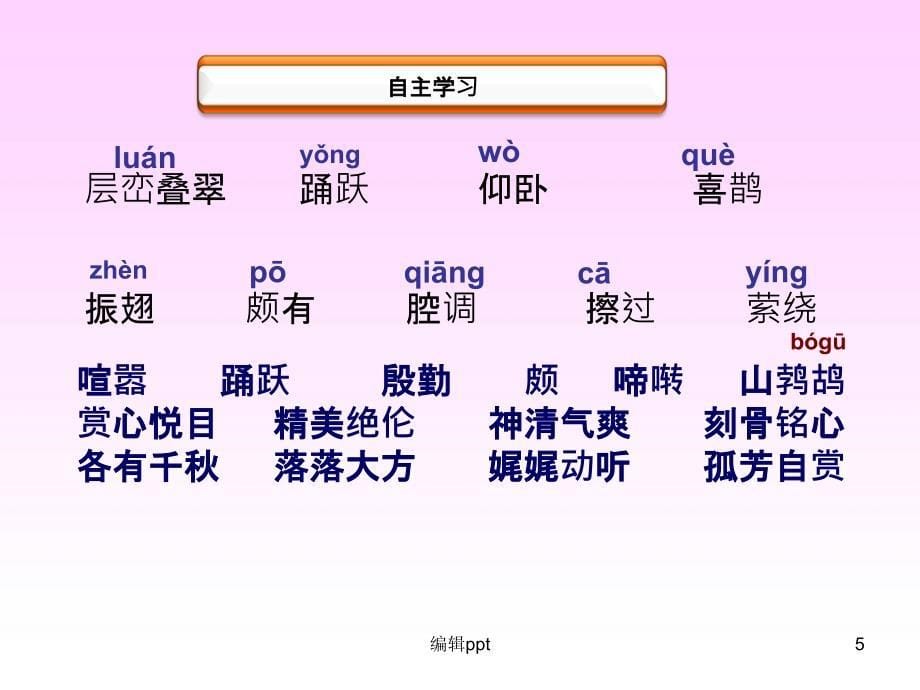 空山鸟语教学_第5页