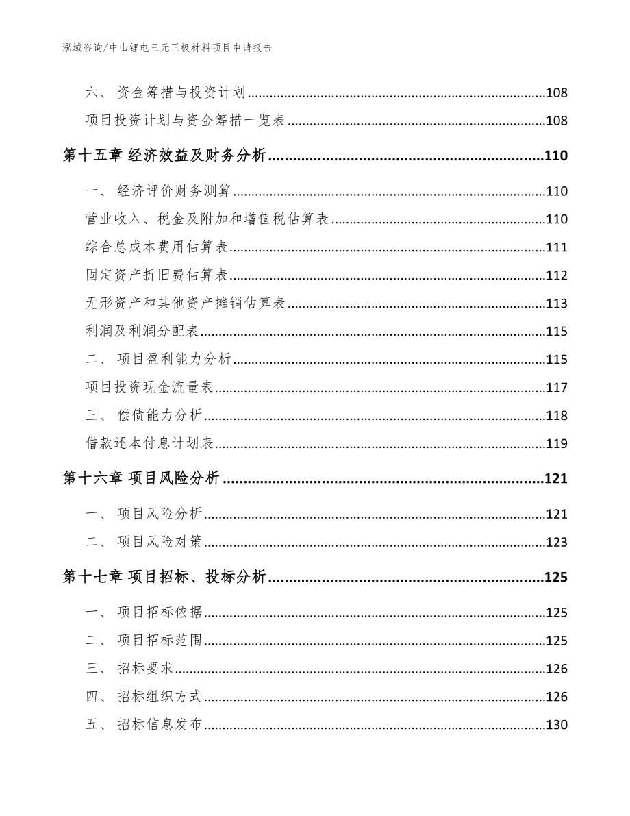 中山锂电三元正极材料项目申请报告（范文）_第5页