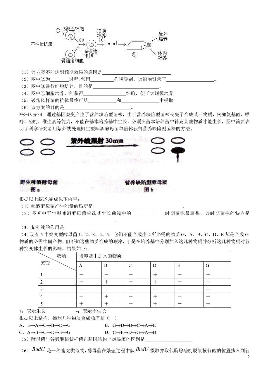 武威八中高三第一次月考试题(旧人教选修)_第5页