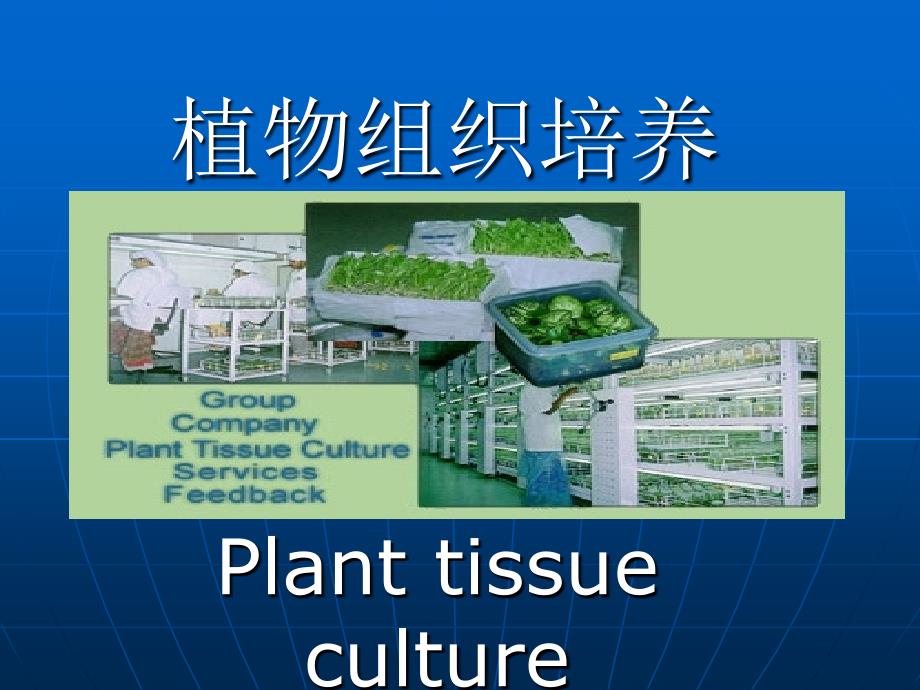 细胞生物学实验：植物组织培养实验_第1页