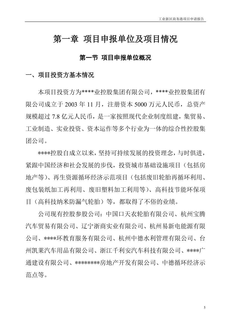 工业新区商务港项目资金申请报告.doc_第5页