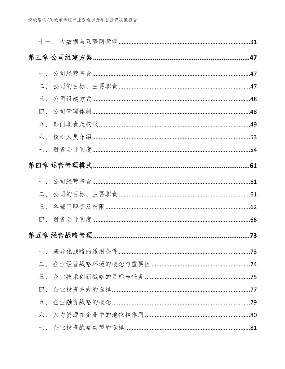 凤城市传统产业改造提升项目投资决策报告_模板范文_第3页