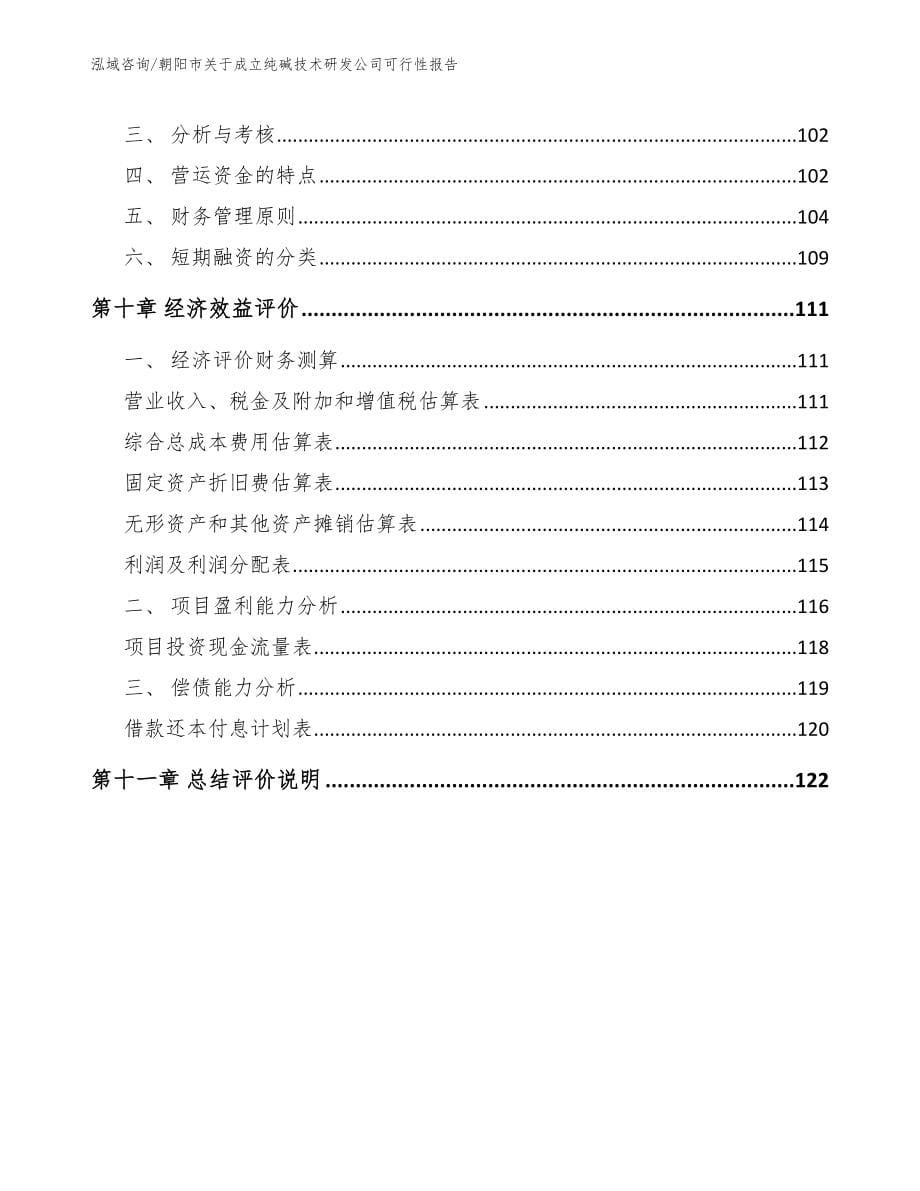 朝阳市关于成立纯碱技术研发公司可行性报告_第5页