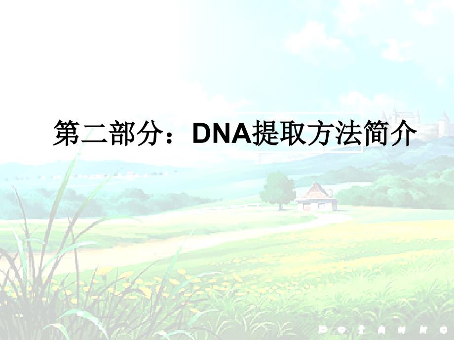 DNA提取及常见问题分析解析_第4页