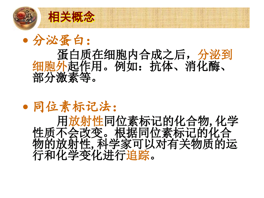 片段教学：分泌蛋白的合成和运输.ppt_第4页