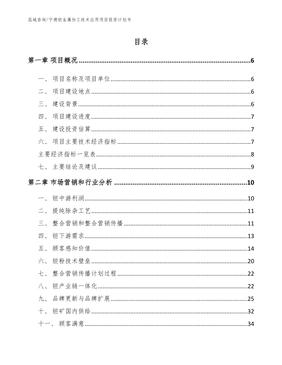 宁德钽金属加工技术应用项目投资计划书（模板范本）_第2页