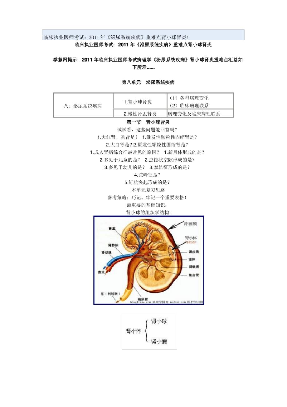 肾脏病理图片详解_第4页