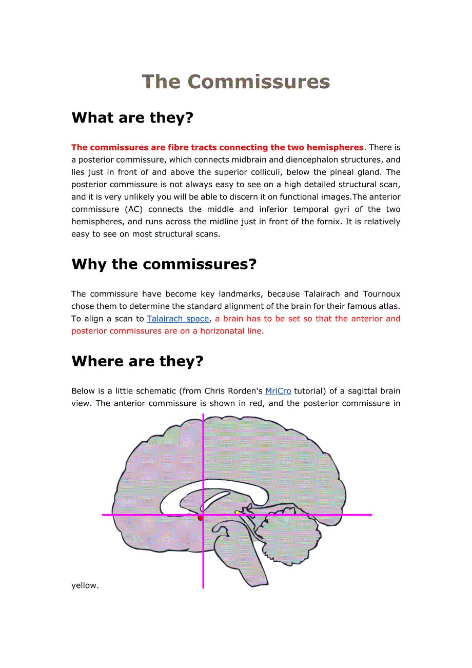 大脑前联合及后联合_第1页