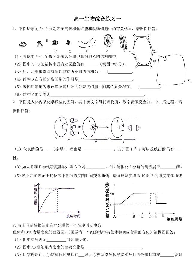 高一生物综合练习一.doc