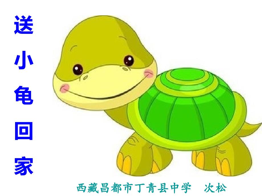 13.送小龟回家_第1页