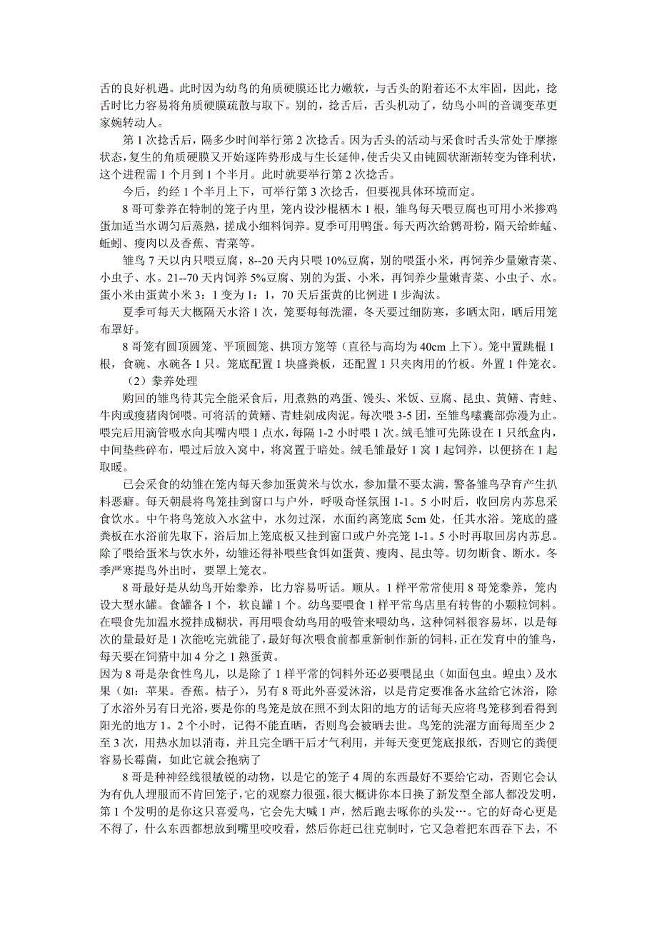 学会用心饲养自己的八哥.doc_第4页