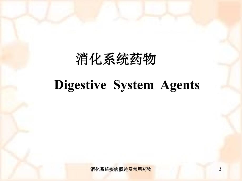 消化系统疾病概述及常用药物课件_第2页