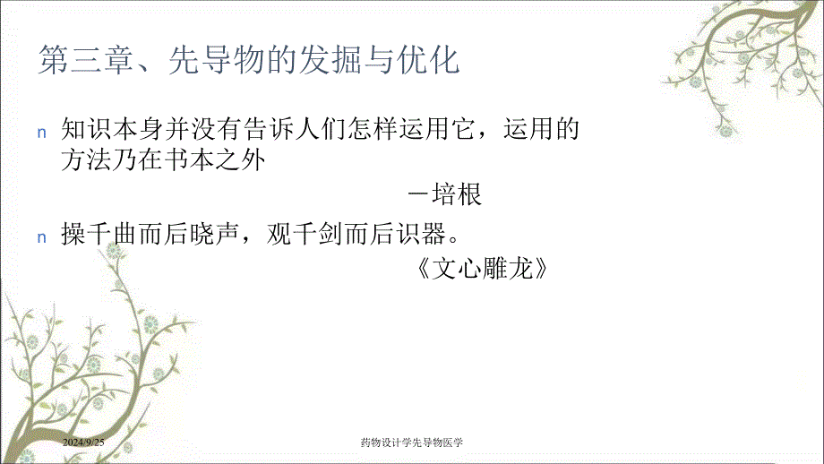 药物设计学先导物医学课件_第2页