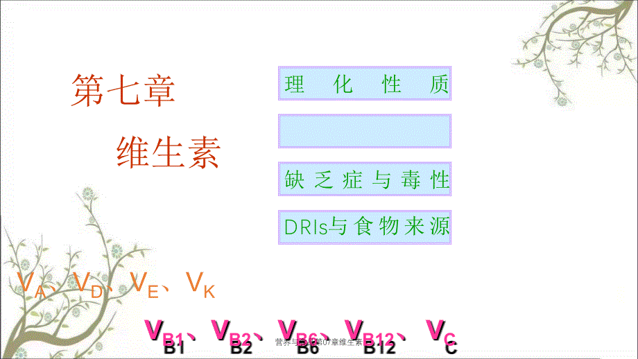 营养与食品第07章维生素_第1页