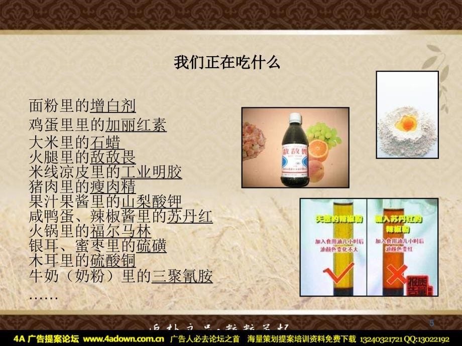 盛世粮仓食品品牌研讨会_第5页