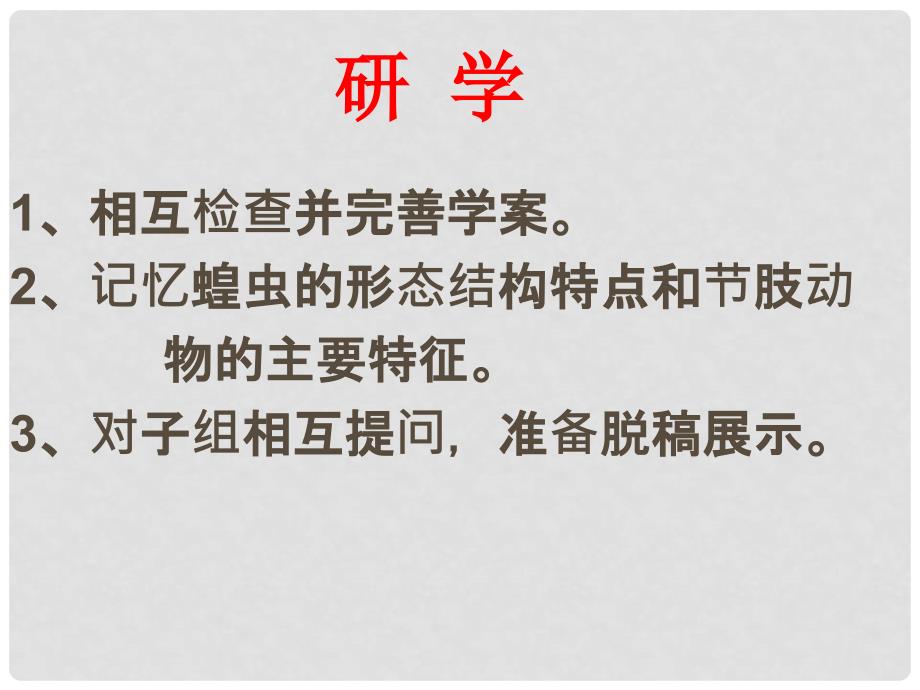 河北省石家庄创新国际学校七年级生物上册 1.4.5 节肢动物课件 冀教版_第4页