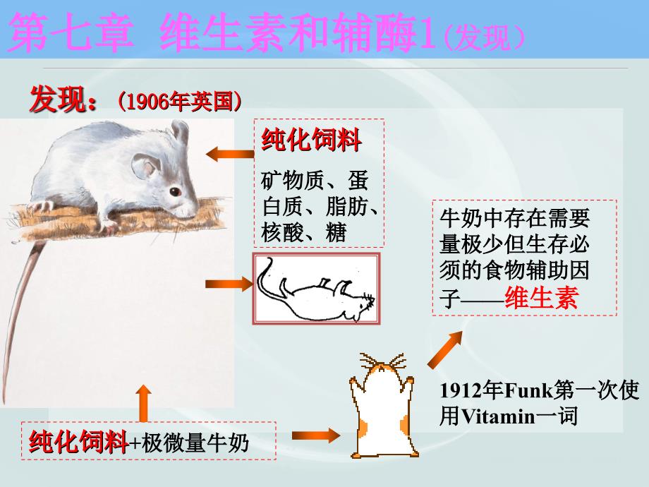 天津大学生物化学07第七章课件——《维生素和辅酶》_第1页