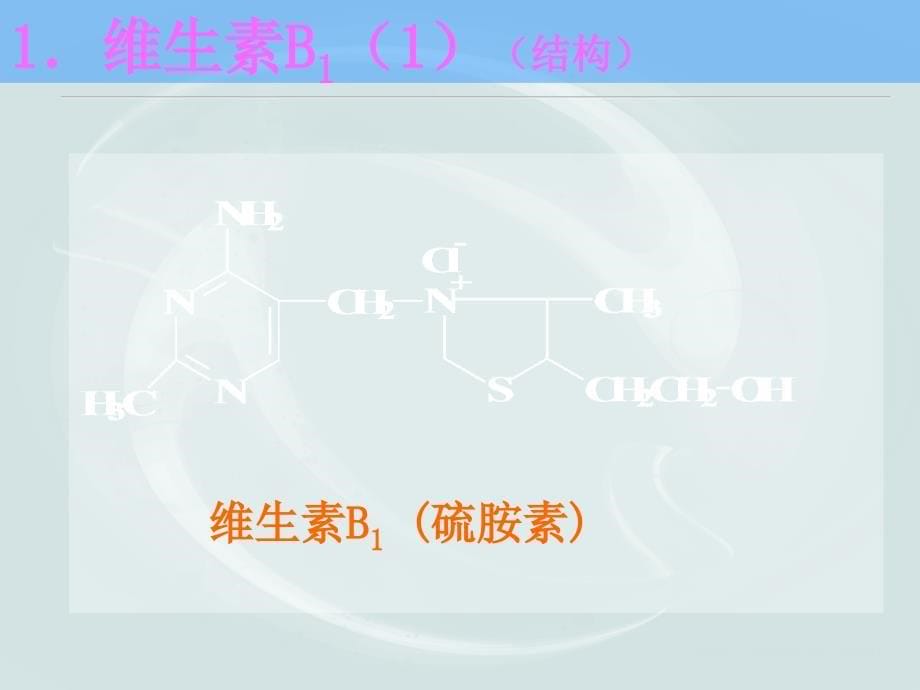 天津大学生物化学07第七章课件——《维生素和辅酶》_第5页