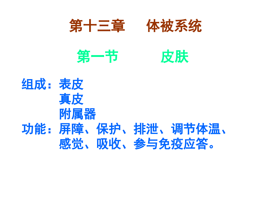 人体解剖学体被系统ppt课件_第3页