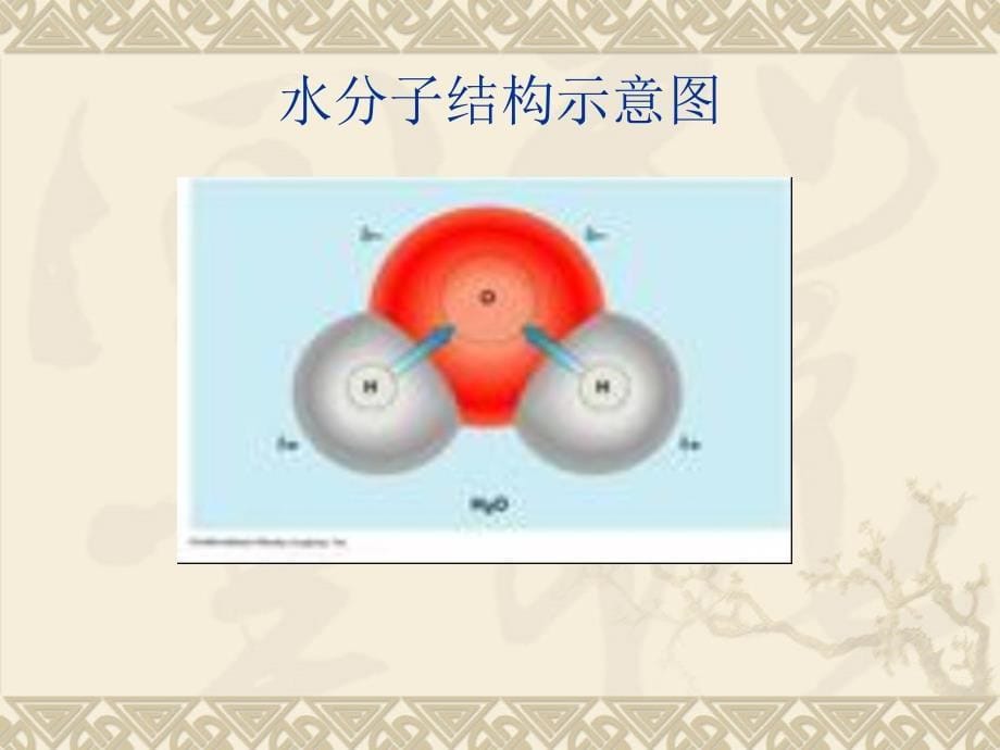 第11章三角形_第5页