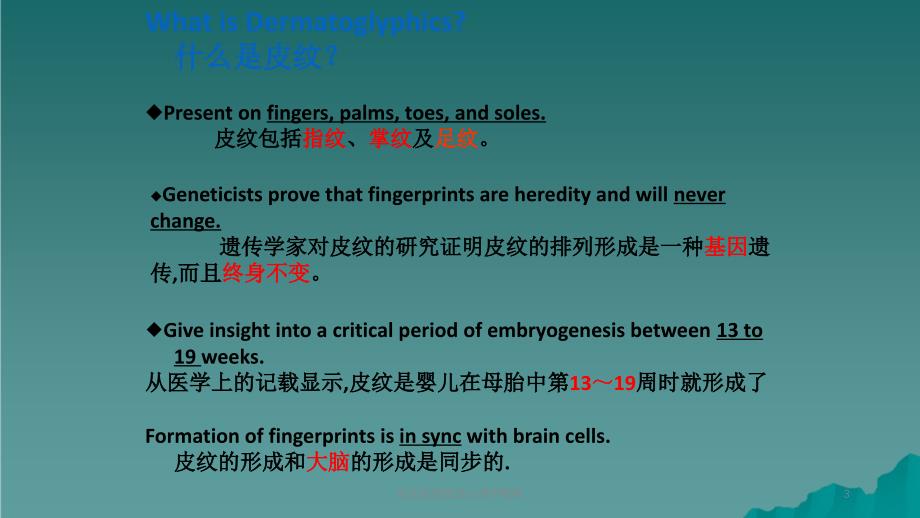 皮纹原理皮纹心理学教程课件_第3页