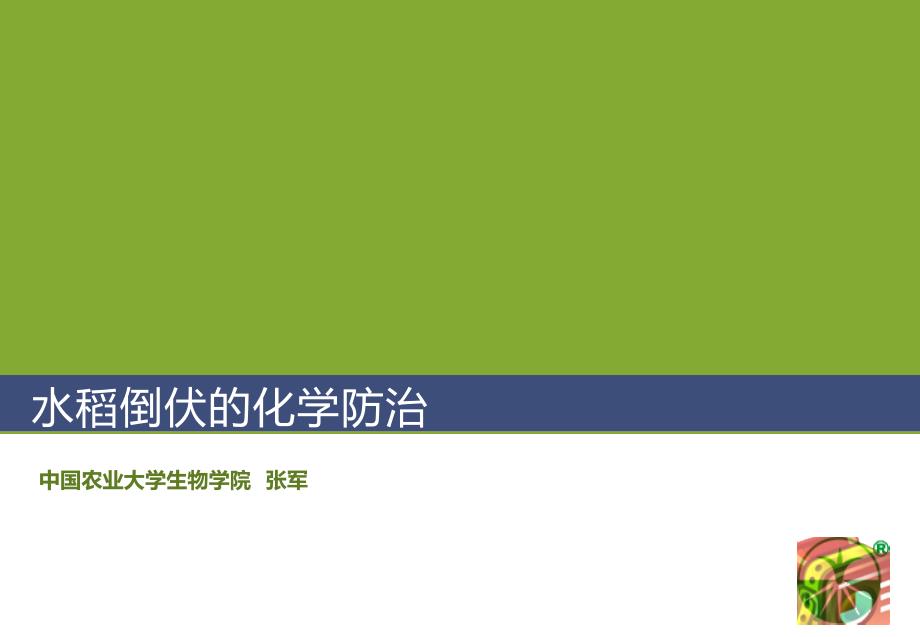 水稻倒伏的化学控制(PPTminimizer).ppt_第1页