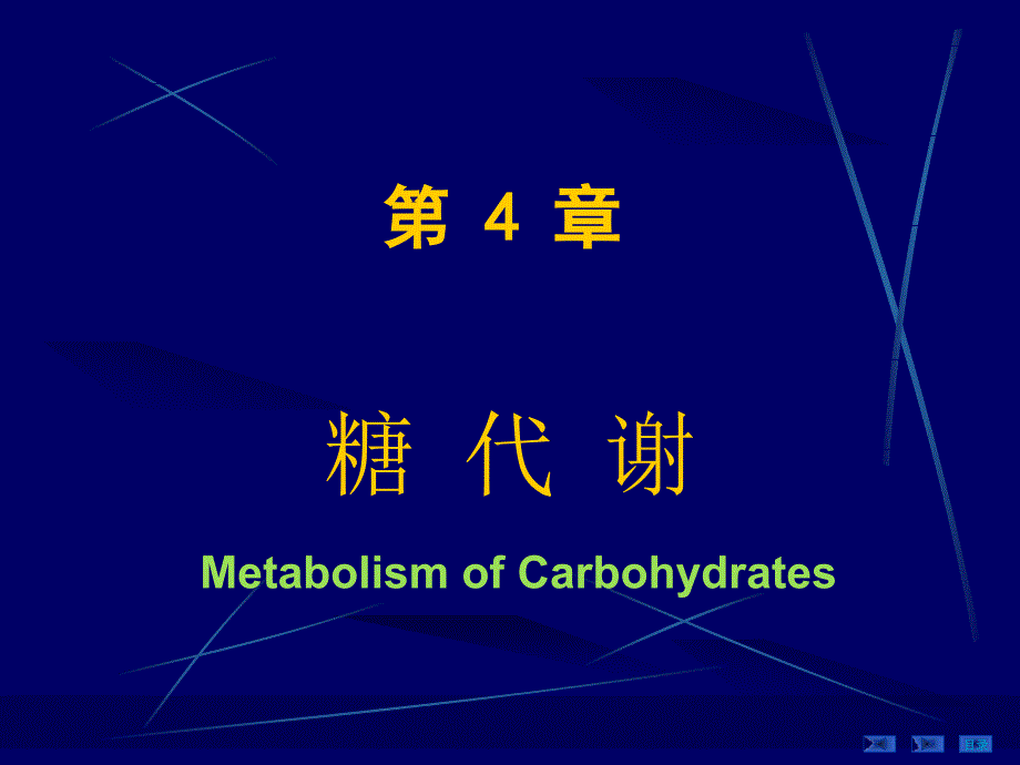 4第四章糖代谢_第1页