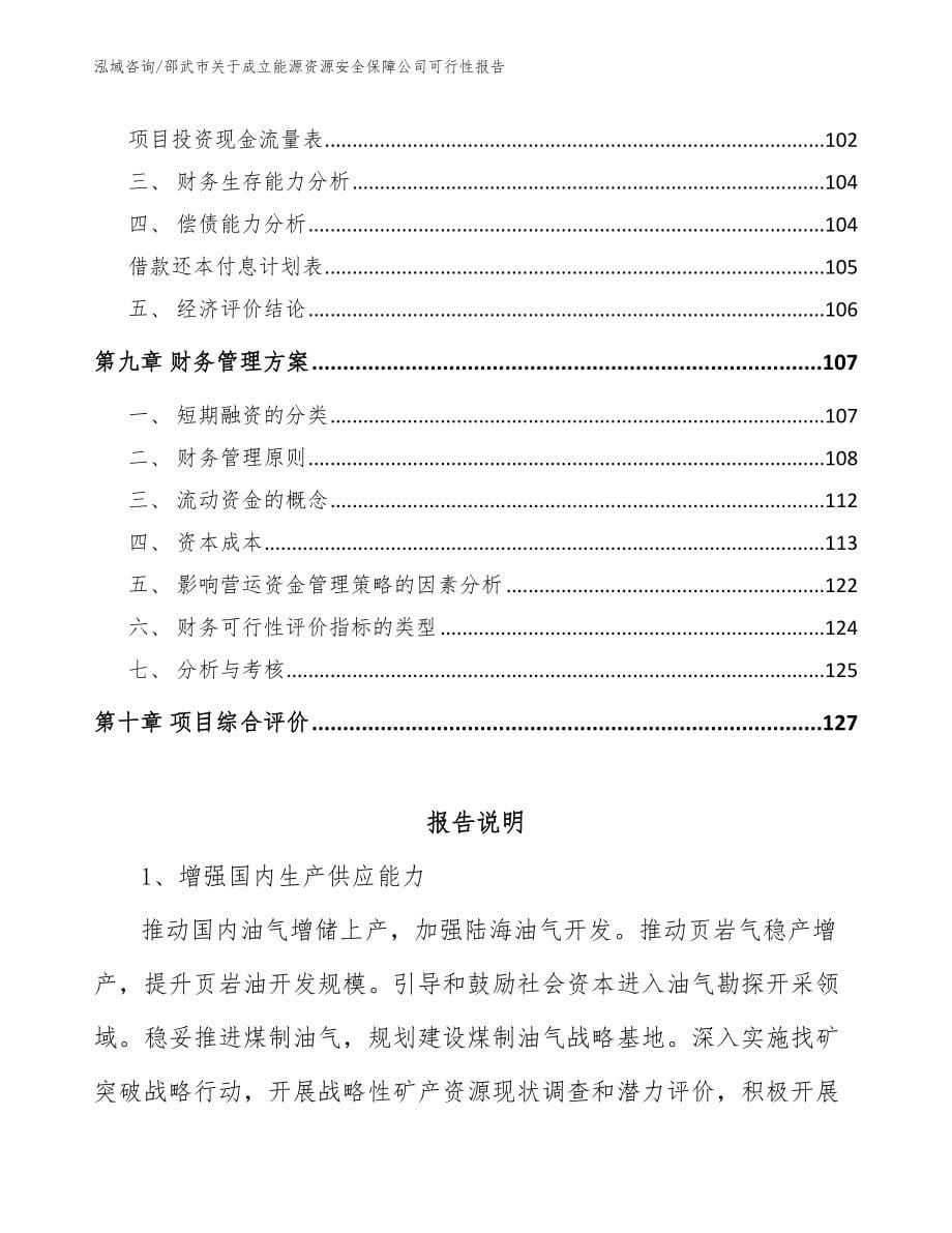 邵武市关于成立能源资源安全保障公司可行性报告_第5页