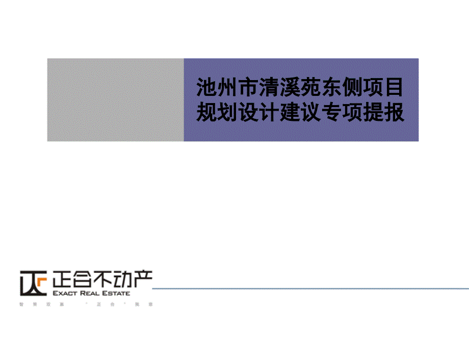 池州市清溪苑东侧项目规划设计建议专项提报_第1页