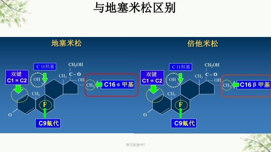 倍他米松磷酸钠注射液肿瘤课件_第5页