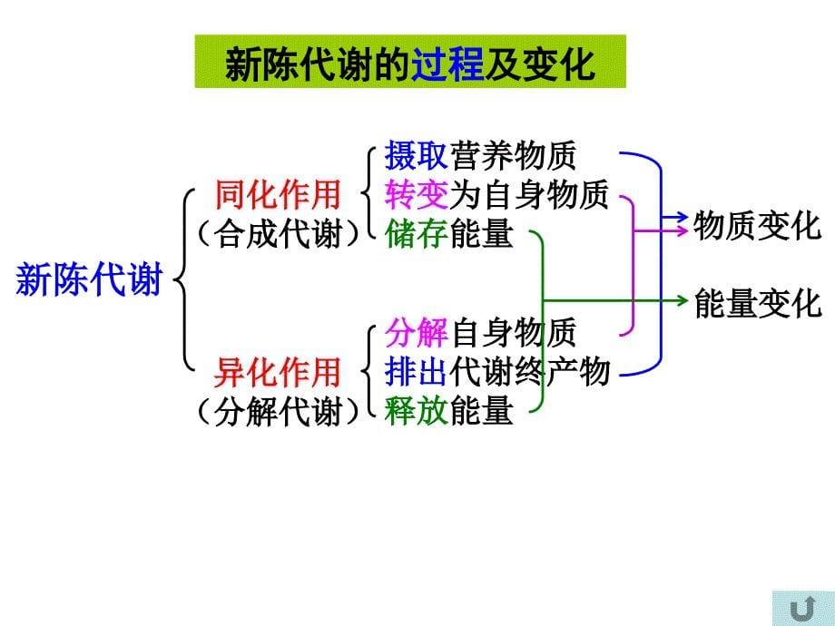 最新生物体内的化学应ppt课件._第5页