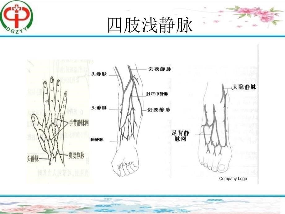 精选静脉血管穿刺技巧及留置针维护资料ppt课件_第5页