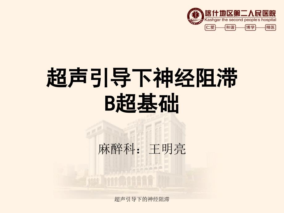 超声引导下的神经阻滞_第1页