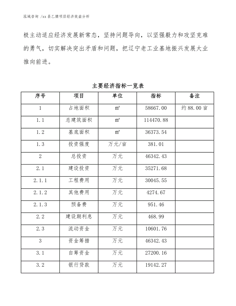 xx县乙腈项目经济效益分析（模板）_第4页