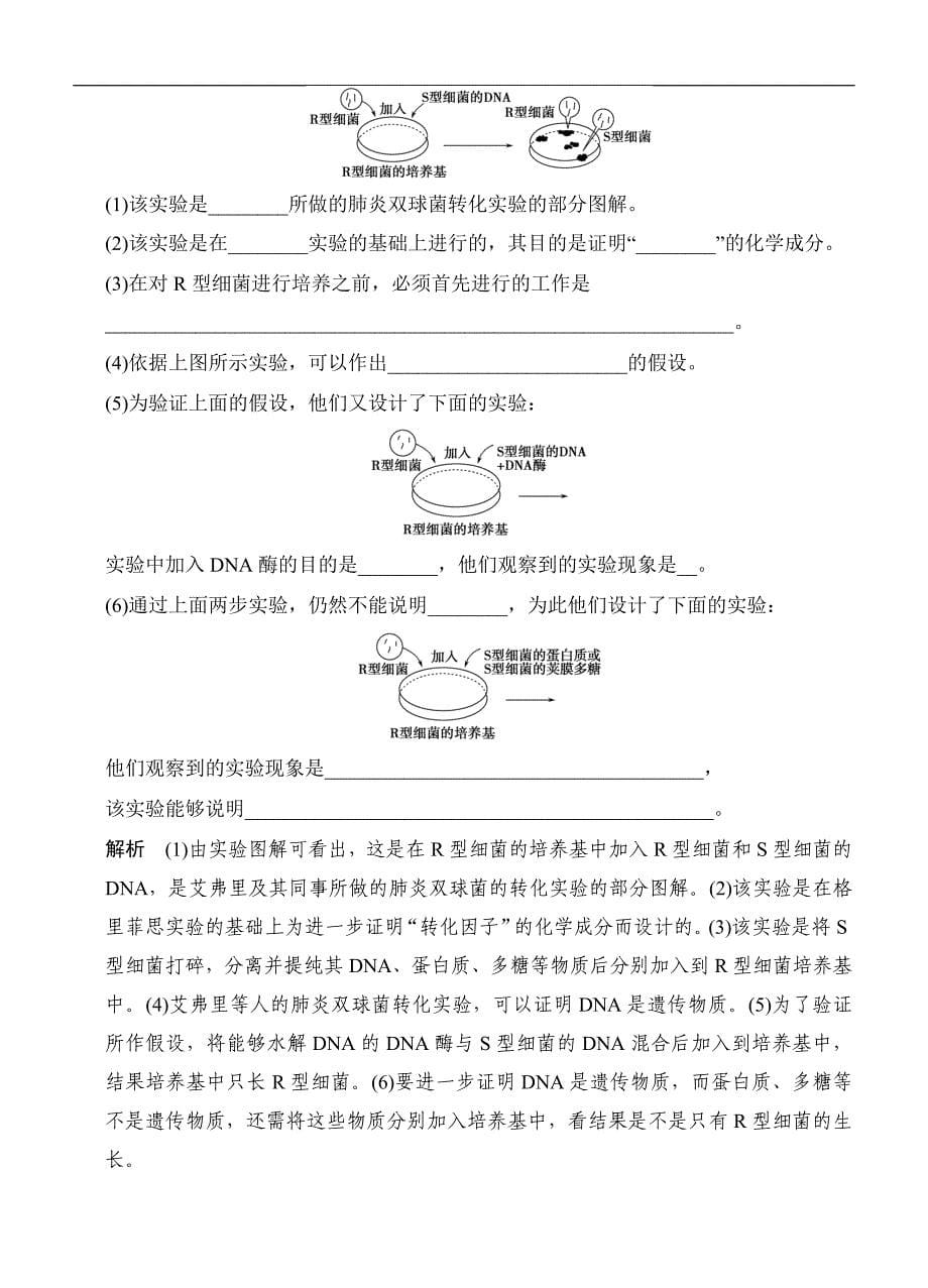 高中生物一轮复习221_第5页