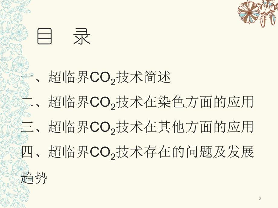 超临界CO2染色ppt课件_第2页