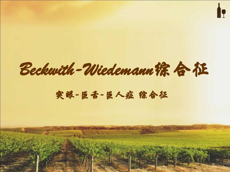 Beckwith-Wiedemann综合征ppt参考课件_第1页