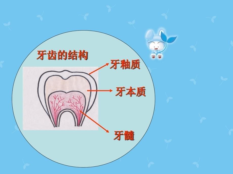 【小学健康教育课件】口腔健康牙齿PPT_第5页