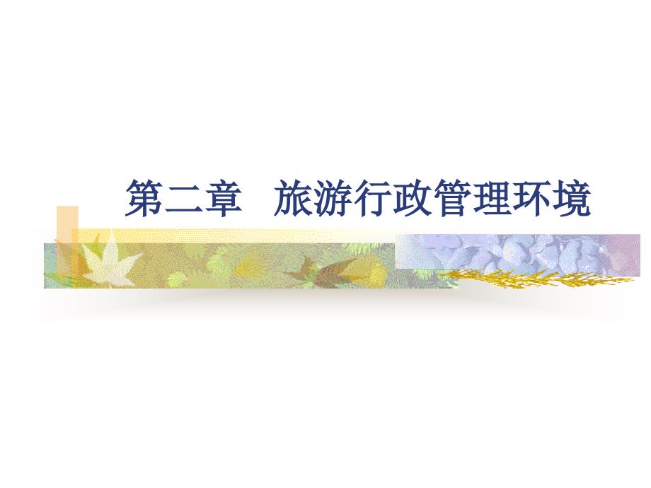 旅游行政管理环境_第1页