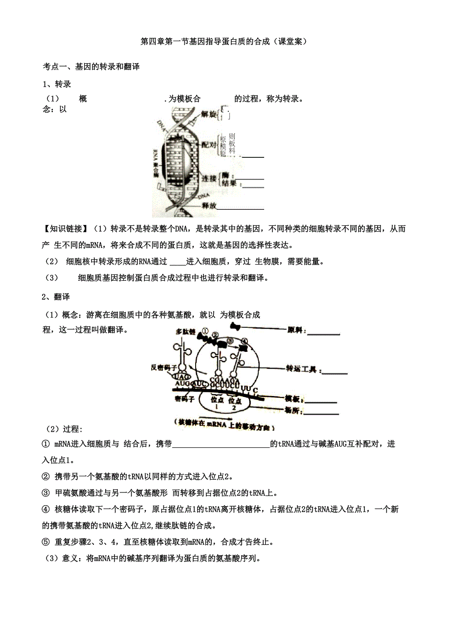 基因指导蛋白质的合成_第1页